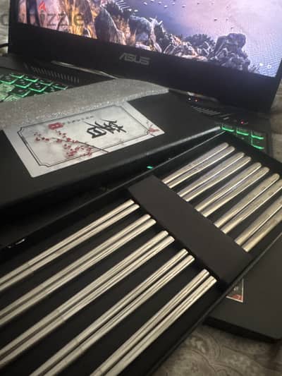 Chinese chopsticks