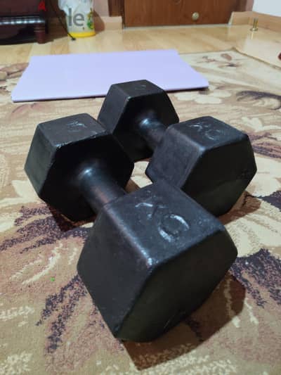 زوج دمبل 10 KG Hex Rubber – Home Gym