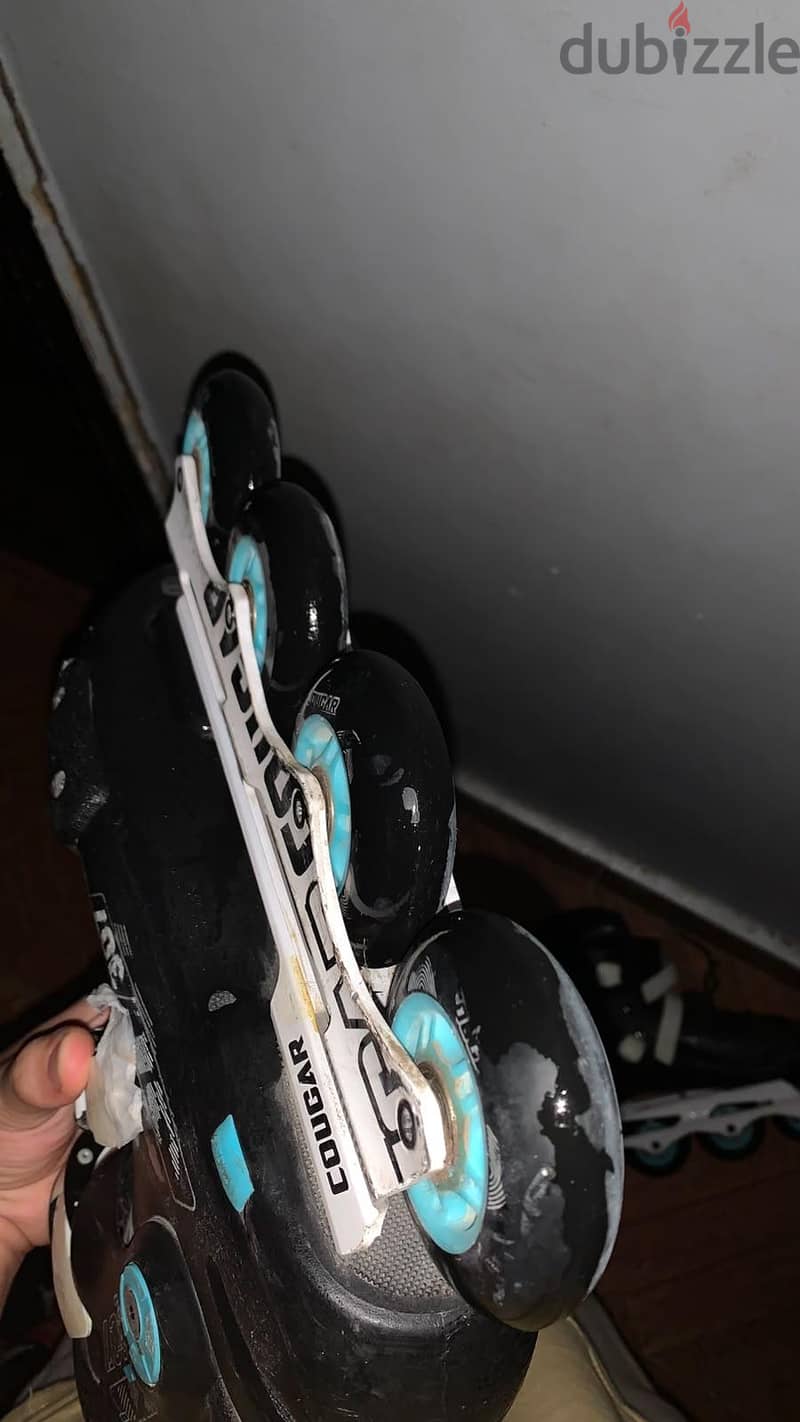 skate cougar 307 4