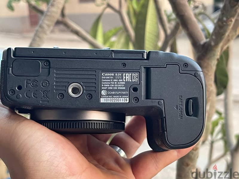 Canon R 3