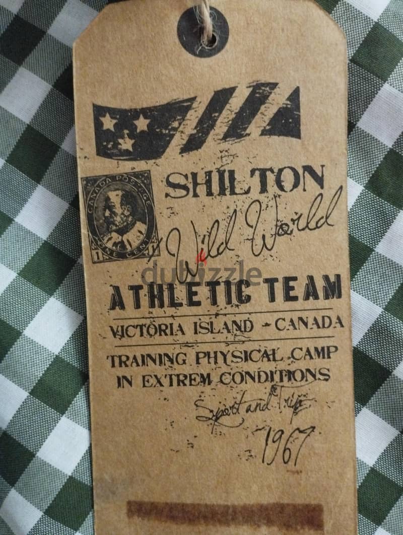 vintage shilton polo 2