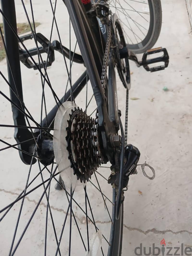 trinx tempo 1.4 6