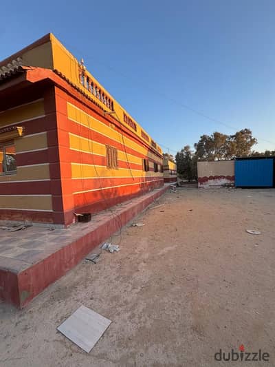 New Alamein Rental House