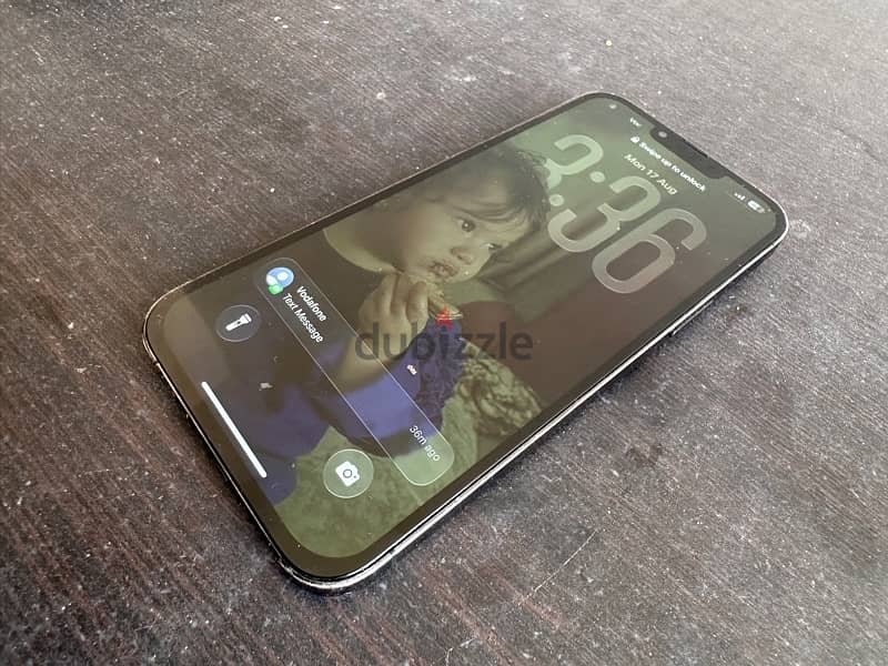 iPhone 13 pro max 256 10