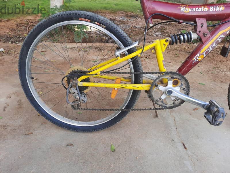MOUNTAIN  BIKE 1