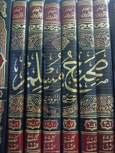 صحيح مسلم بشرح النووي جديد