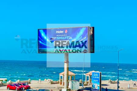 Apartment for rent 100 m Cleopatra (direct sea)