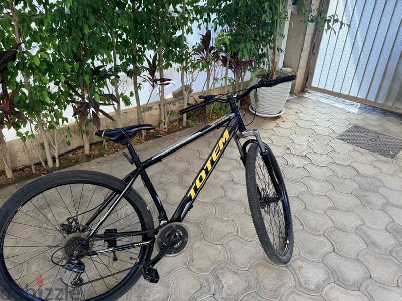 Bicycle for sale 2