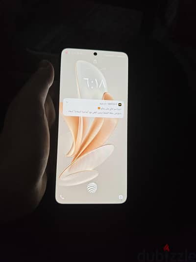 Vivo V29