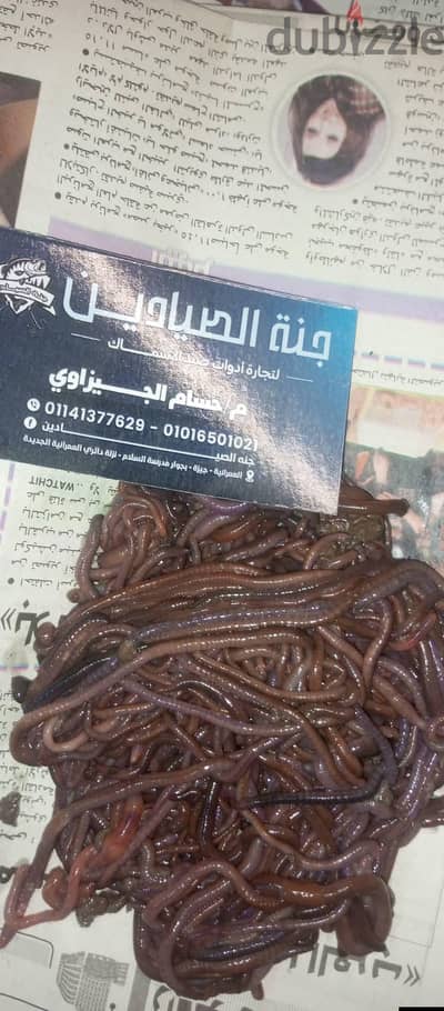طعم  بأنواعه وأعلى جودة