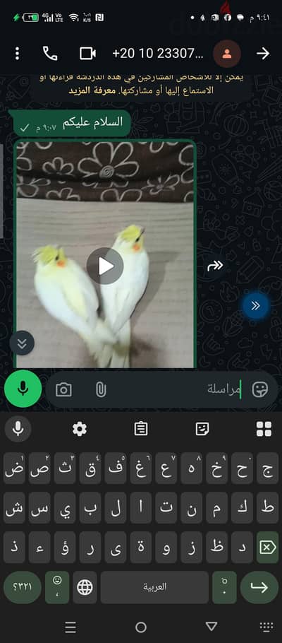 جوز كوكتيل ينفعه للتاجيل اليدوي هادي جدا بدون عض