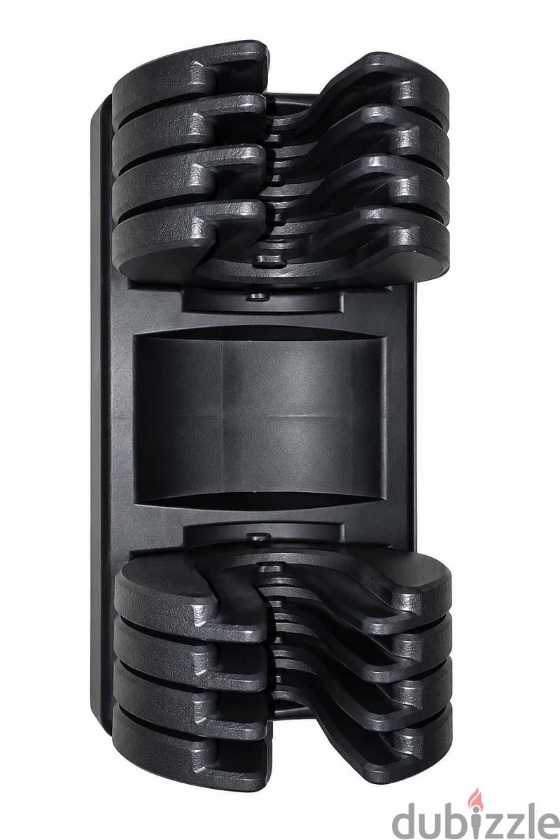 dumbbell 2