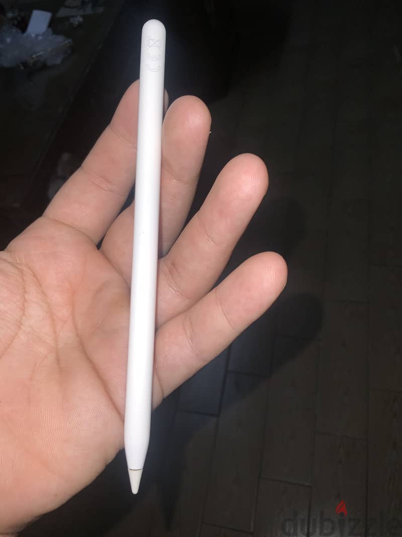 Apple pincel 1