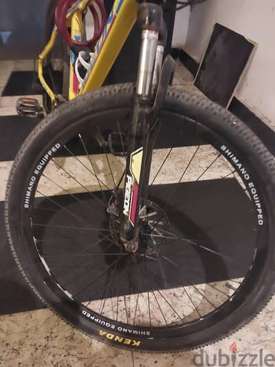 flying pigeon bycicle
