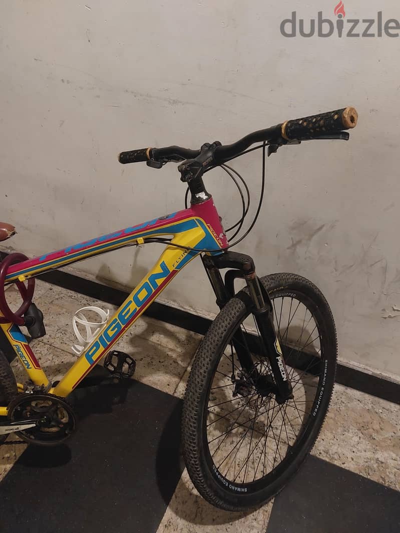 flying pigeon bycicle 1