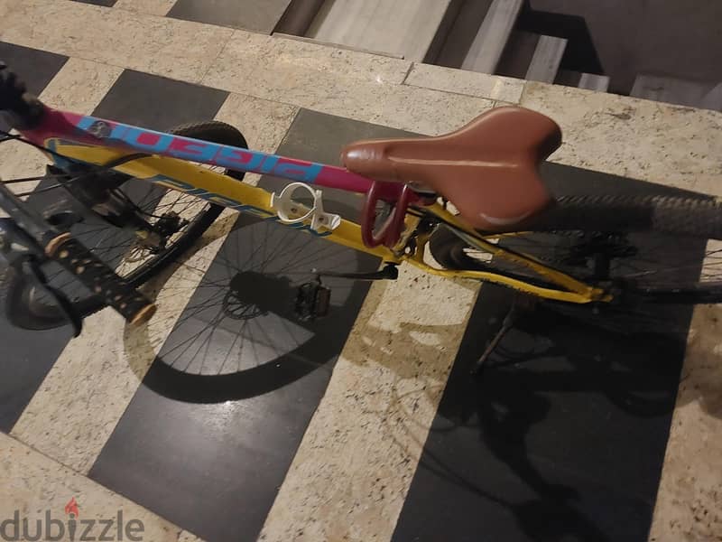 flying pigeon bycicle 2