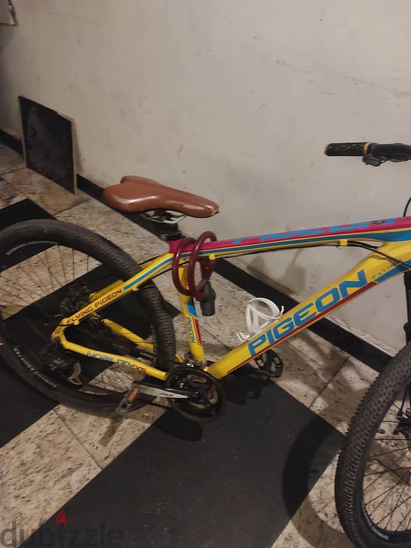 flying pigeon bycicle 3