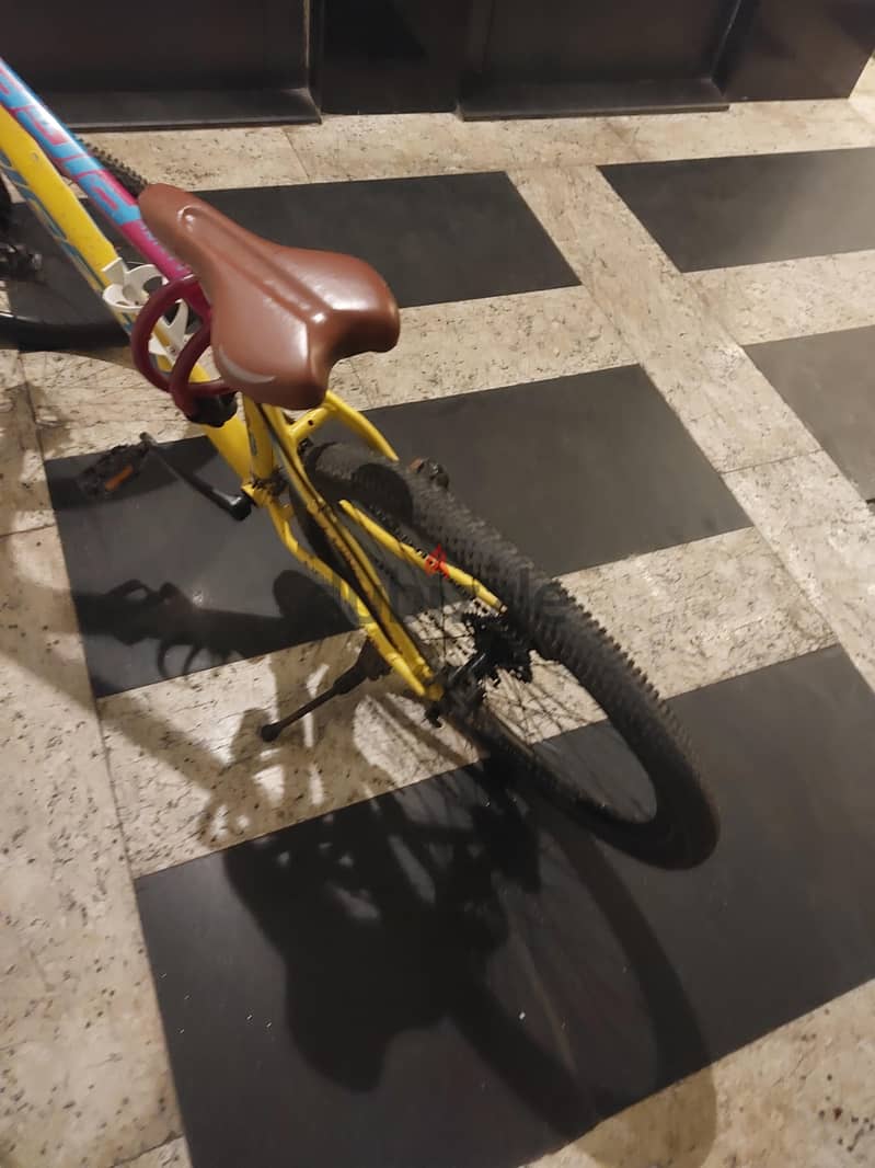 flying pigeon bycicle 4