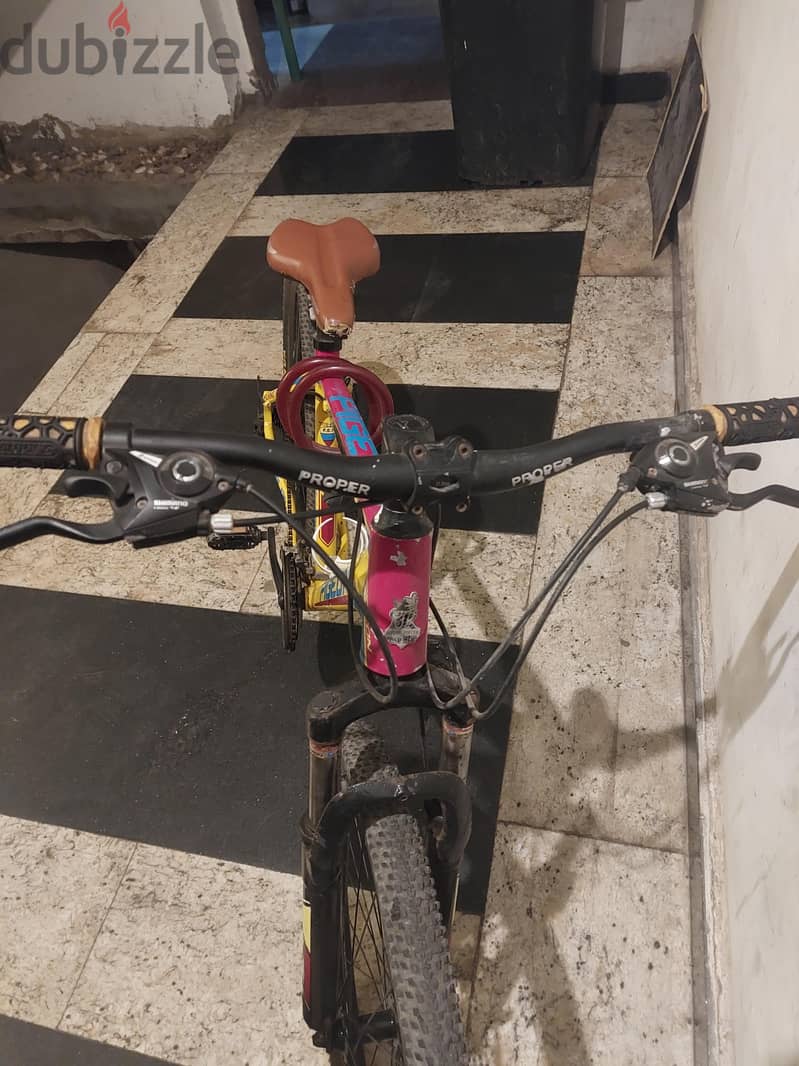flying pigeon bycicle 5