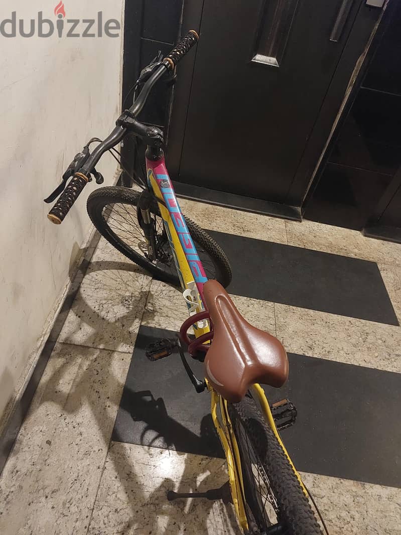 flying pigeon bycicle 6