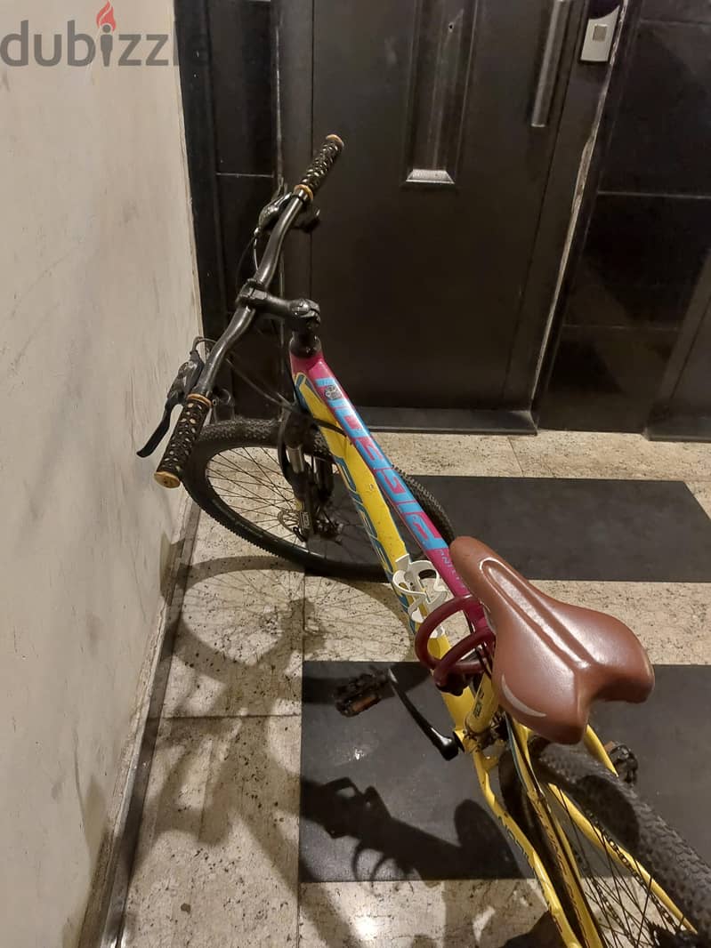 flying pigeon bycicle 7