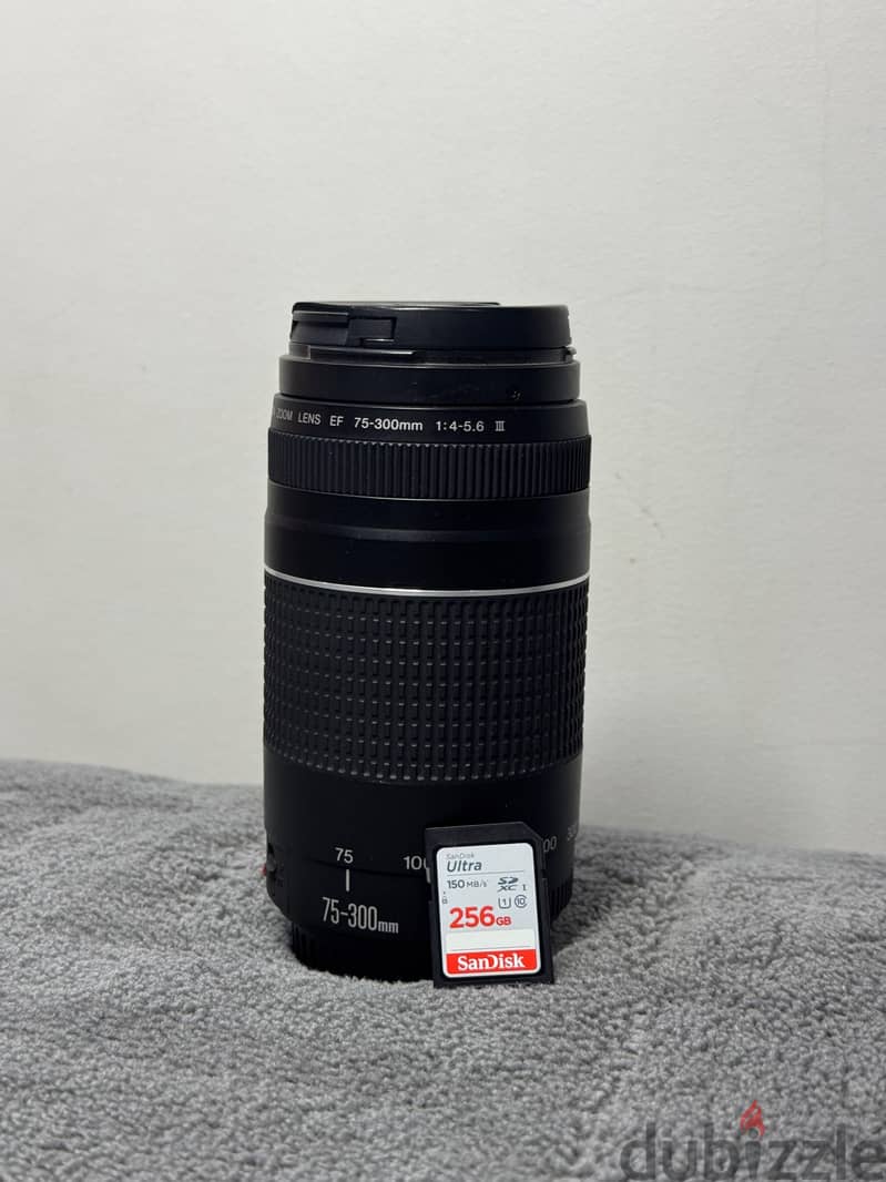 Canon 77D 14