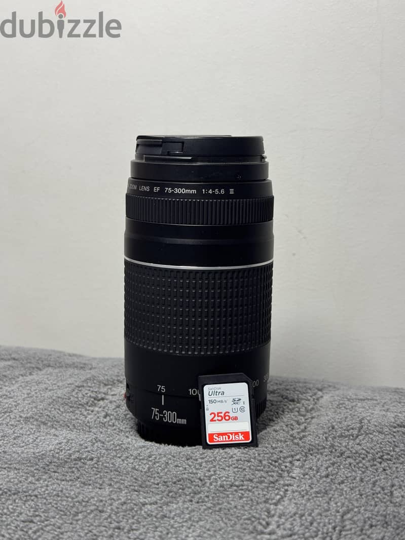 Canon 77D 15