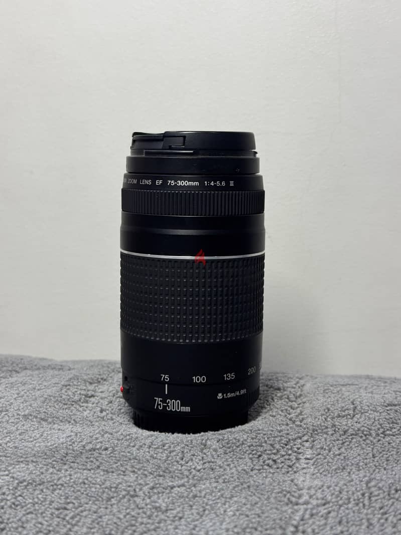 Canon 77D 16