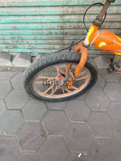 ادم ع