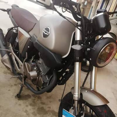 Hogan V250 max