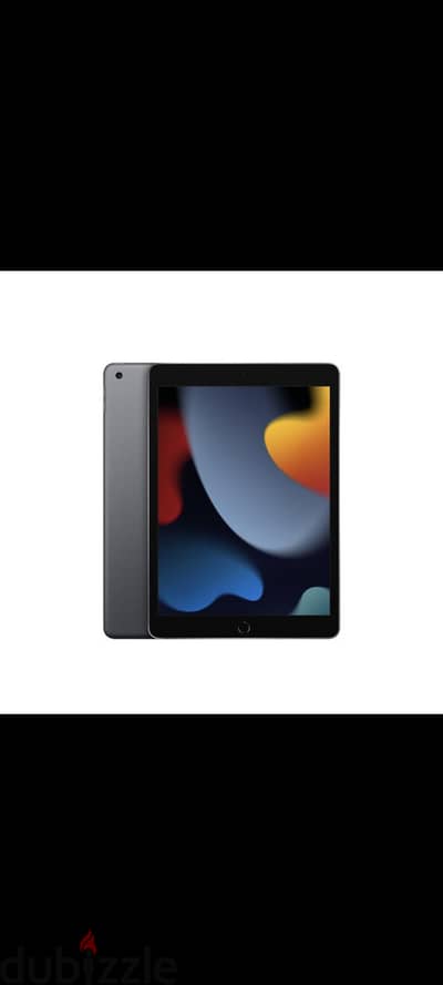 Ipad 9th 256g