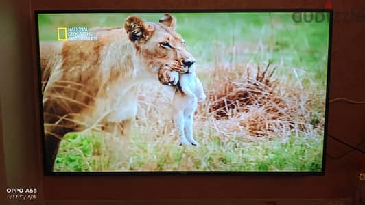 شاشه 55 بوصه سمارت 4k سامسونج