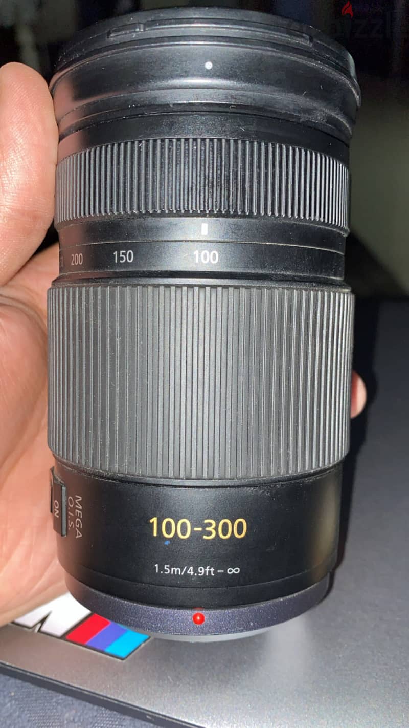 Panasonic lumix H-FS100300 2