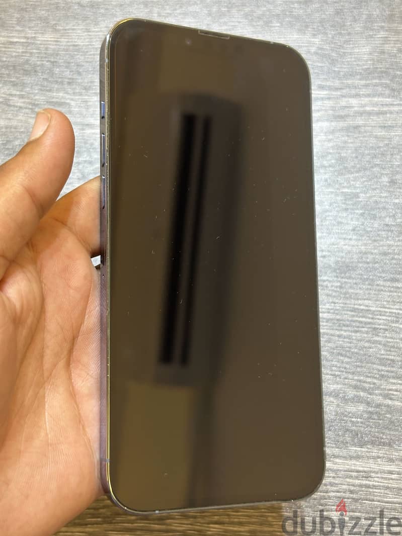 iPhone 13 Pro Max 256 6