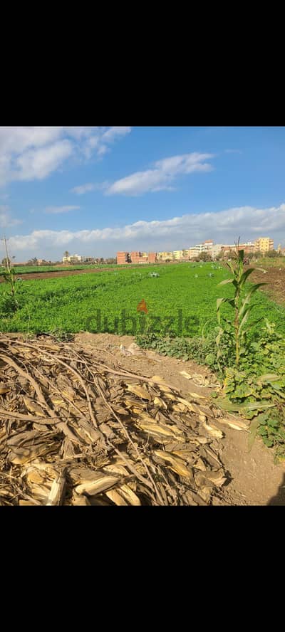 ارض زراعيه حوالى ١٤ قيراط للبيع بسكه الخمسه