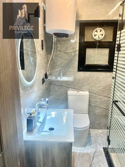 Special furnished apartment for rent in Zahraa Maadi