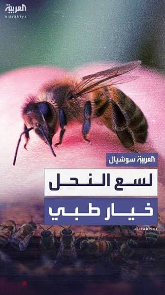 عالج امراضك بقرص النحل والثلج