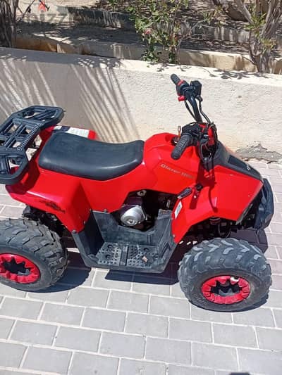 بيتش باجي 110cc
