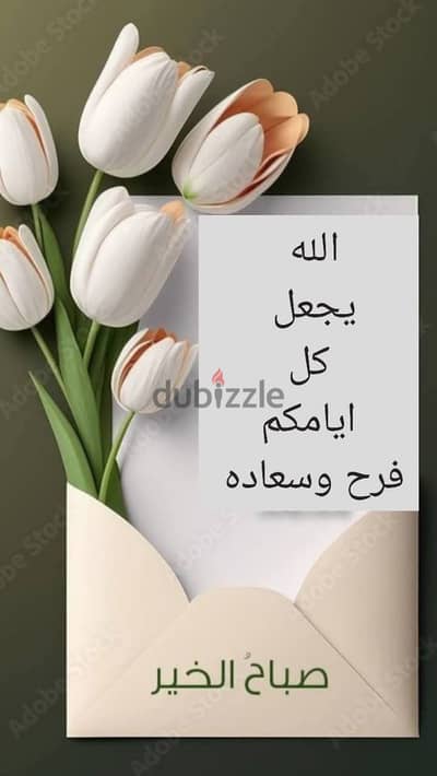 شركة مسئوليه محدوده رخصه للبيع