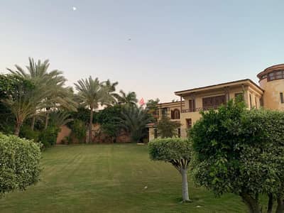 مسطح تجاري  مطاعم وكافيهات وقاعات افراح  والحفلات وأعياد الميلاد