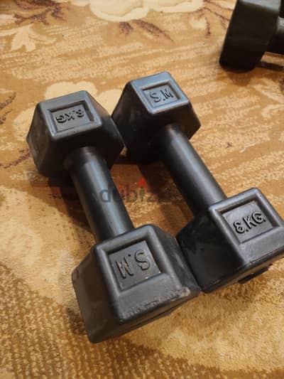زوج دمبل 3 KG Hex Rubber – Home Gym