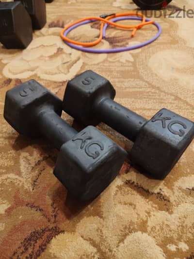 زوج دمبل 5 KG Hex Rubber – Home Gym