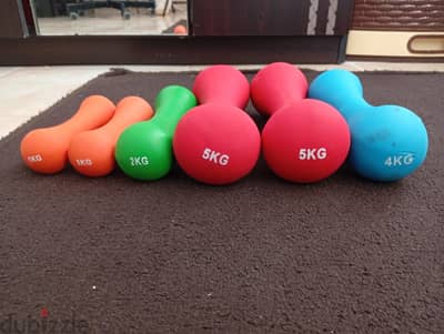 Used Vinyl Dumbbell Set 18KG Total (1kg, 2kg, 4kg, 5kg)