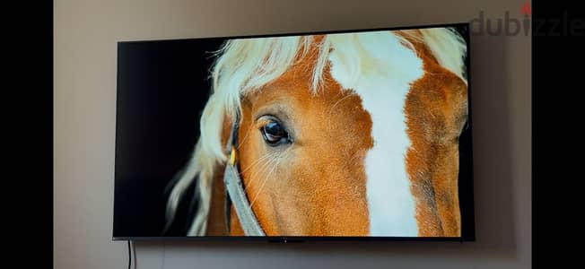 شاشة tcl c6k mini led  استعمال شهور ساري ضمان الوكيل سنة ونصف