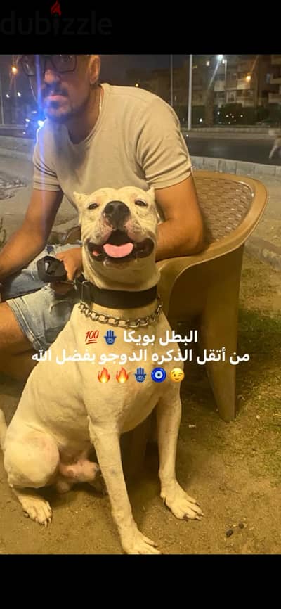 دكر دوجو أرجنتيني