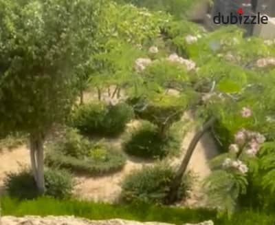 فيلا للبيع فى مدينة الشروق الحى التانى غرب420 متر ارضى واول وروف فيلا منفصلة قريبة من البنك الاهلى وطريق الشباب ومستشفى الشروق المركزى منطقة حيوية