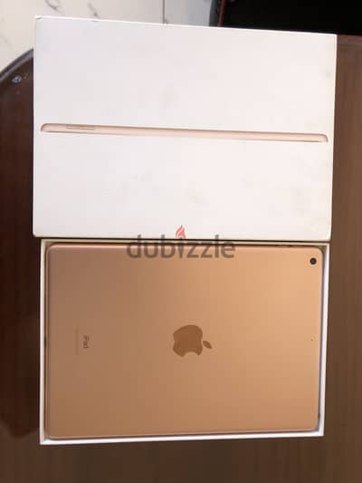 iPad 8