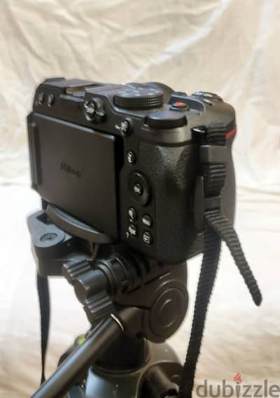 Nikon Z30 Mirrorless