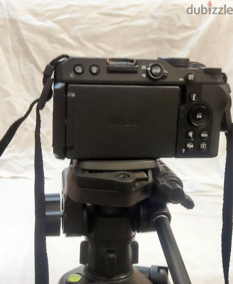 Nikon Z30 Mirrorless 5
