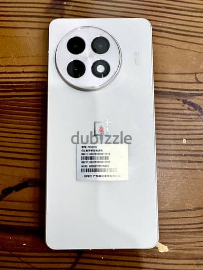 one plus ace/one plus 13r